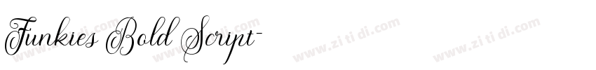 Funkies Bold Script字体转换 Funkies Bold Script字体转换
